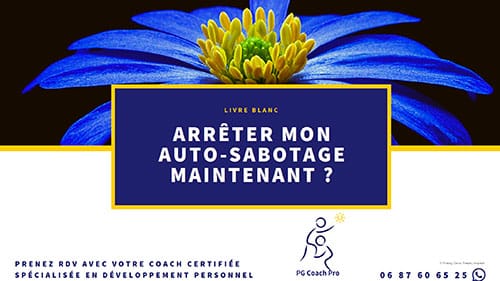 [Livre Blanc] Arrêter mon auto-sabotage maintenant