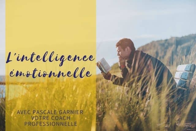 Intelligence émotionnelle ou comment tirer profit de vos émotions ?