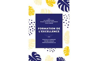 [Livre Blanc] formation de l’excellence