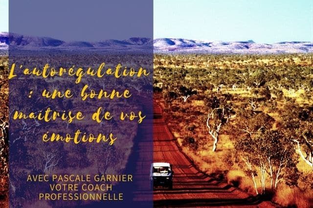L&rsquo;autorégulation : avoir une bonne maîtrise de vos émotions.