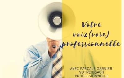 Votre voix(voie) professionnelle