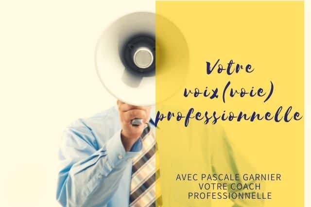 Votre voix(voie) professionnelle