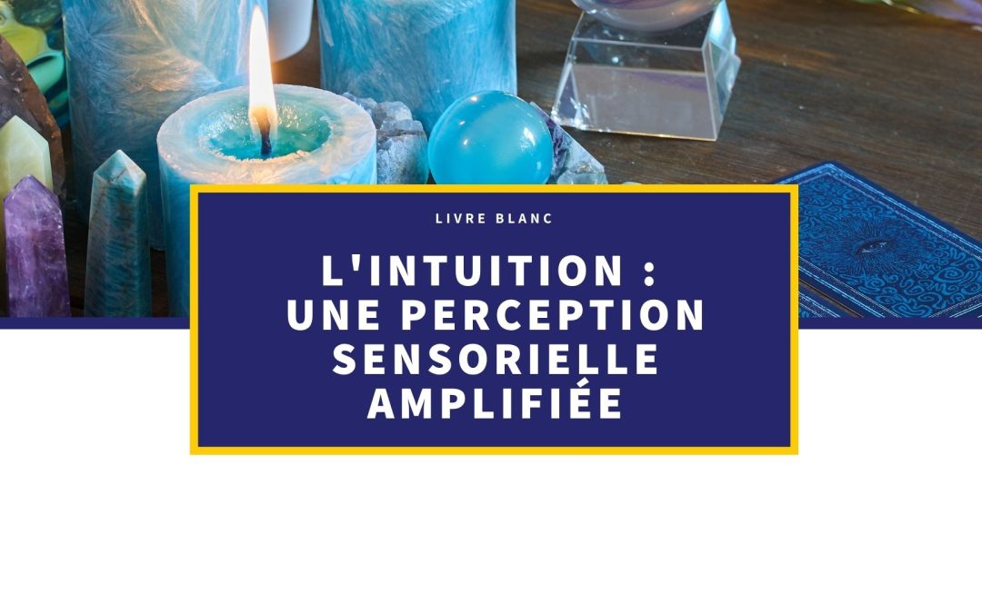 [Livre Blanc] L’intuition : une perception sensorielle amplifiée