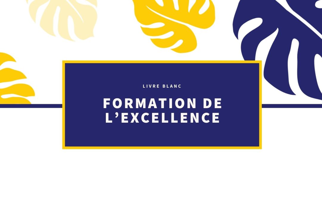 [Livre Blanc] formation de l’excellence